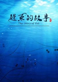 ����Ĺ���