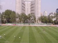 �������� ��������VS����¤ԭ���� 20250526