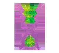 �������ޱ������ �Ĵ�����vs����20250817