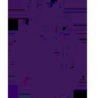 Ӣ�� ˮ����vsɣ����20250913