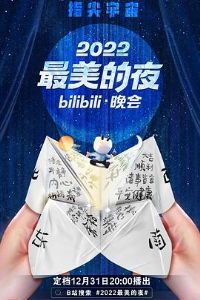 2022������ҹbilibili����